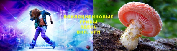 Альфа ПВП Бугульма