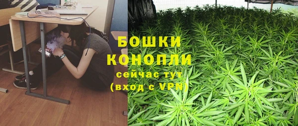 Альфа ПВП Бугульма