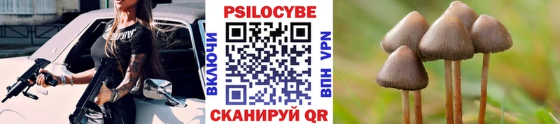 сколько стоит  Кореновск  Псилоцибиновые грибы мицелий 